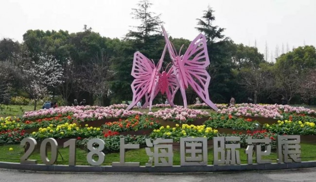 20180404202212_9566.jpg