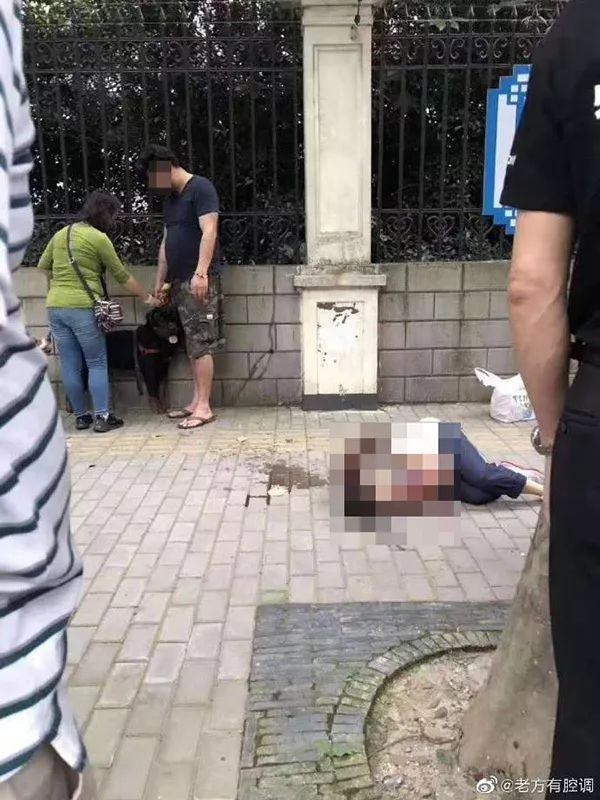 20190709115828_6836.jpg