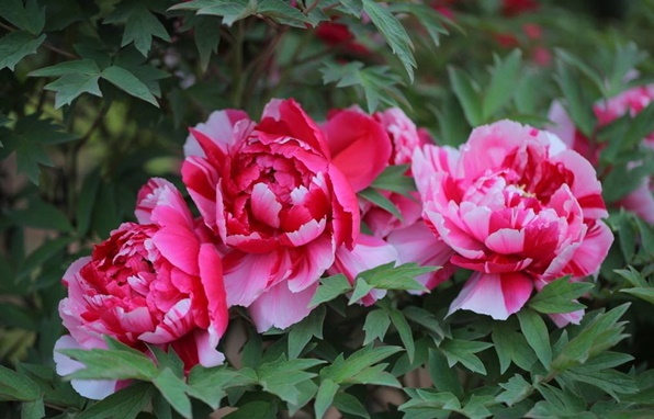 20190724103756_5149.jpg