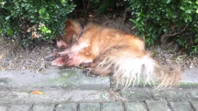 20200810112527_3177.jpg
