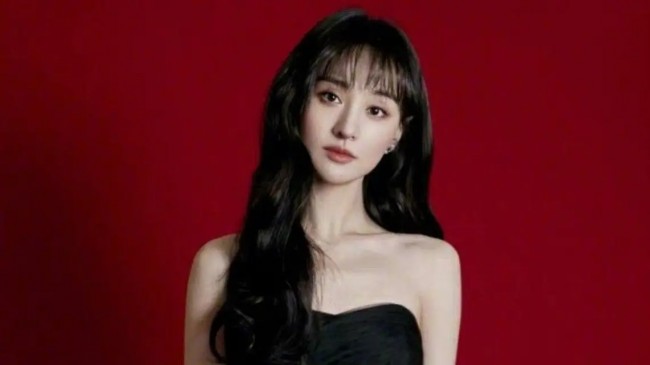 中 '대리모' 여배우, 이번에는 탈세로 540억 벌금형