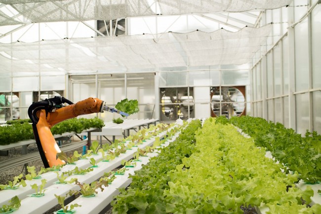 농업 인구 감소의 해결사 '스마트팜(Smart Farm)'