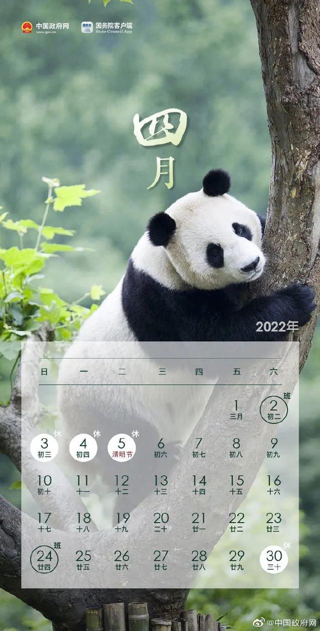 20220411152050_2341.jpg