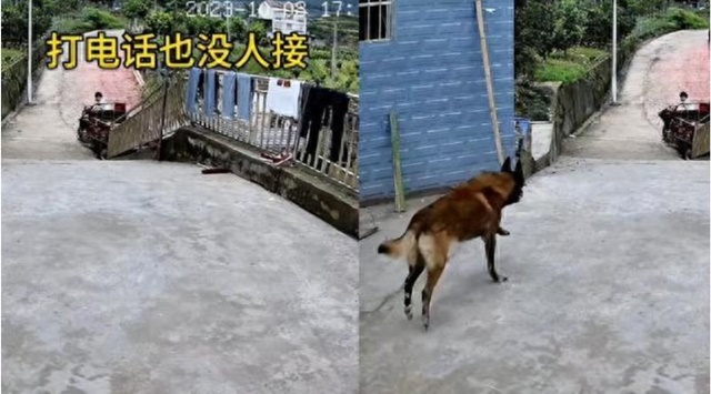 20231010152216_7324.jpg