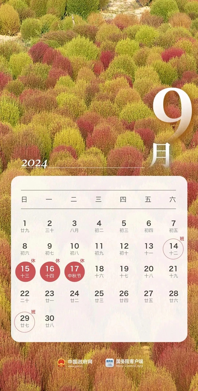 20240815115703_1232.jpg