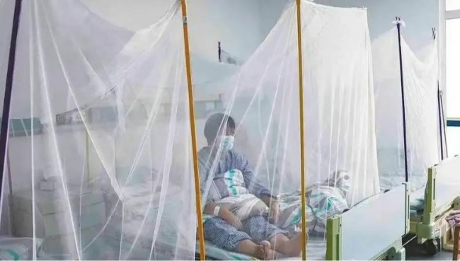 광동성 치쿤구니아 열병 신규 확진 2940명…사용 금지 약물은?