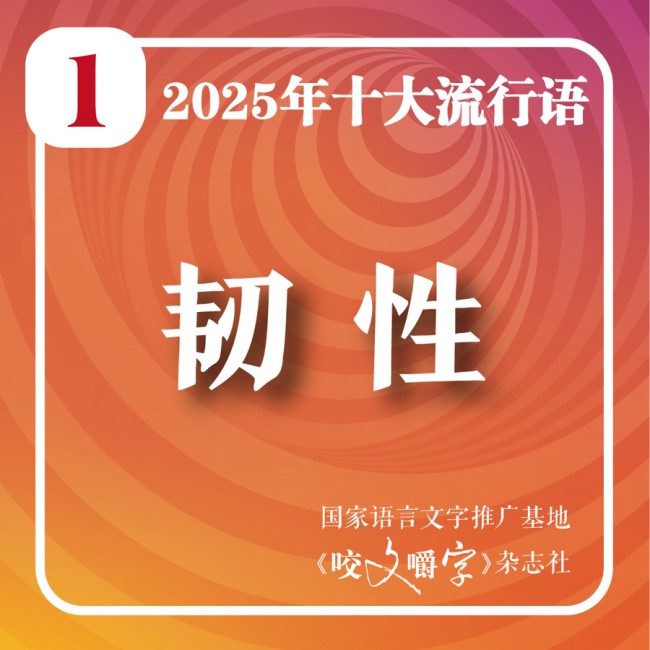 20251202162855_3303