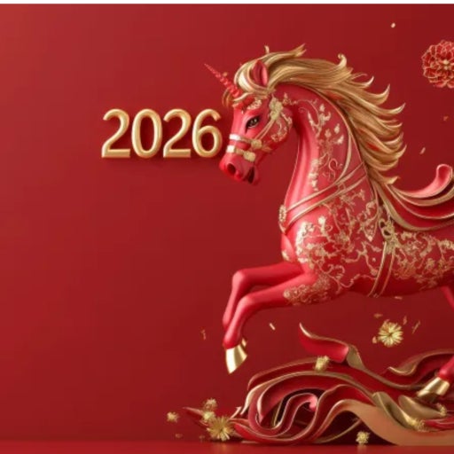 20251231025015_5529